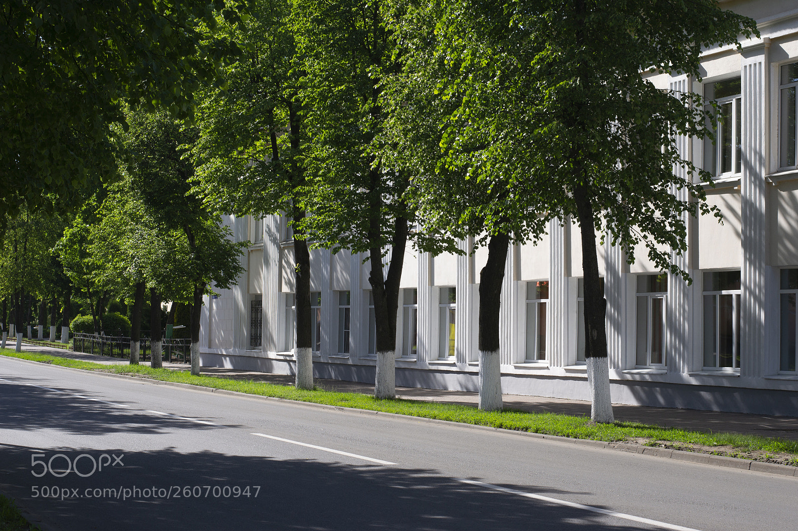 Nikon D3100 sample photo. гимназия photography