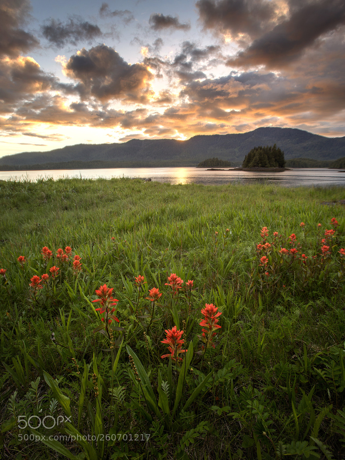 Canon EOS 6D sample photo. Wildflowers photography