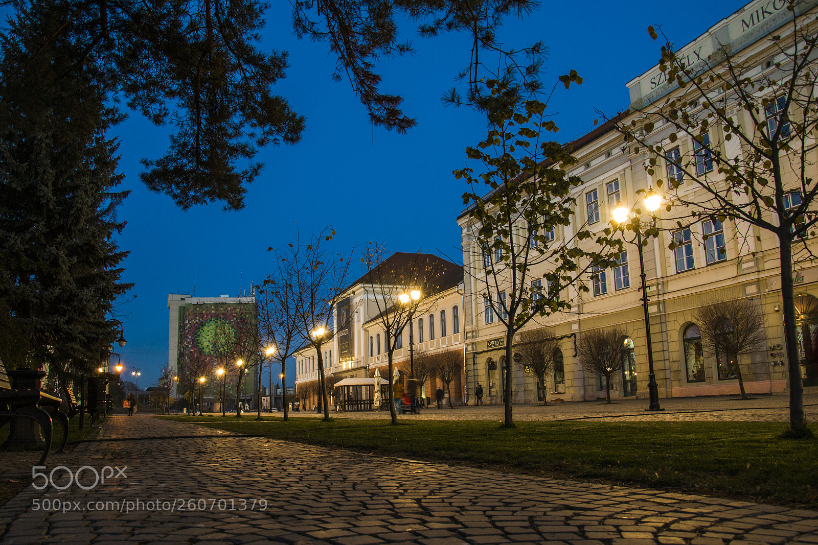 Nikon D3100 sample photo. City blue hour photography
