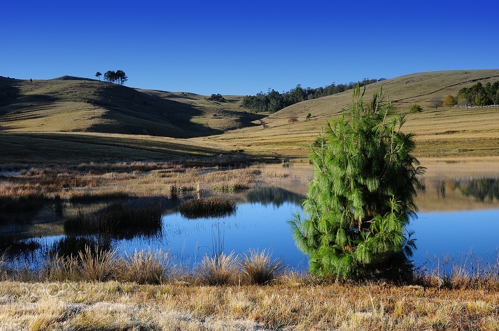 Nikon D300 sample photo. Lakeside photography