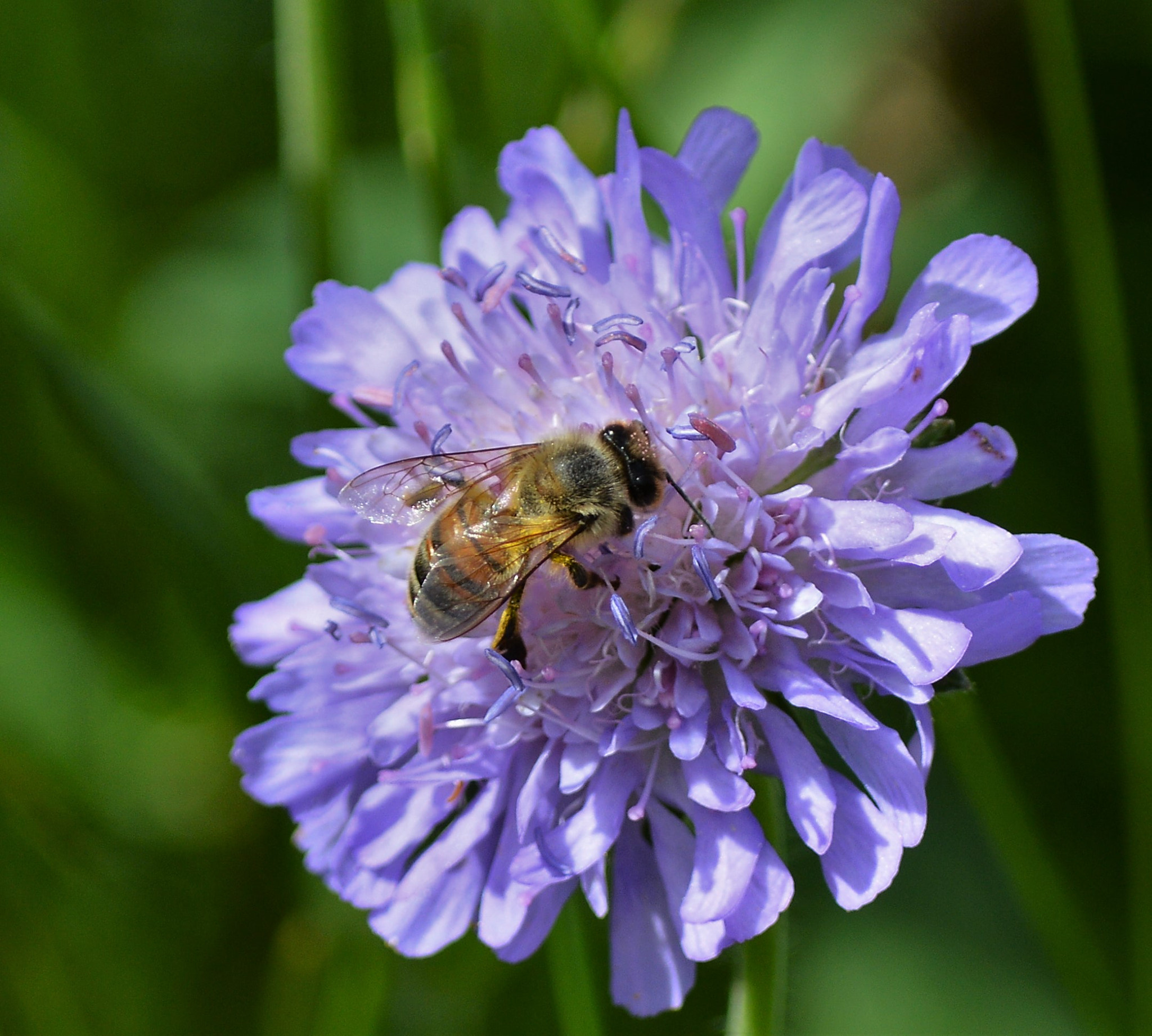 Nikon D3200 sample photo