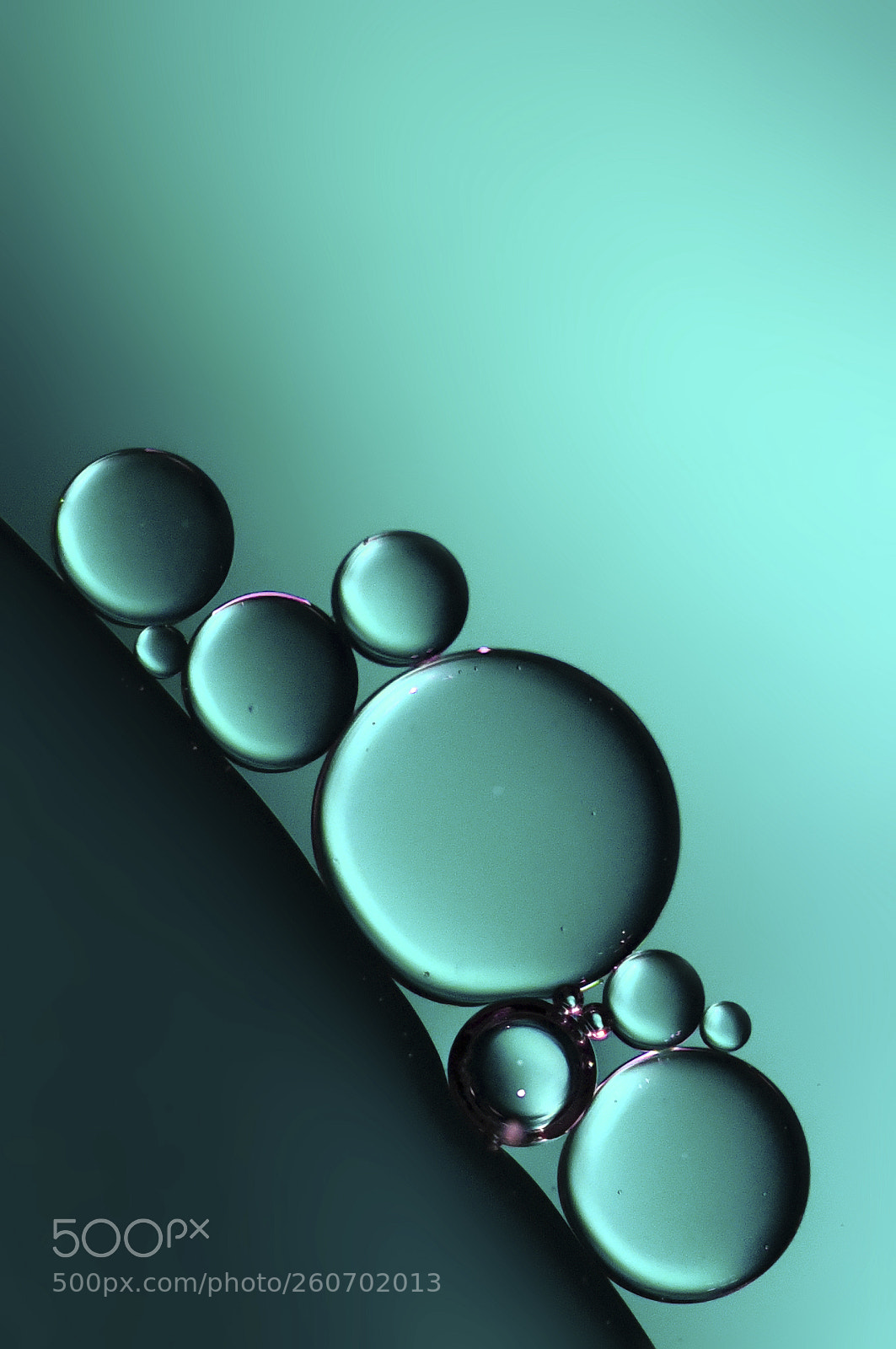 Nikon D750 sample photo. Blue photography