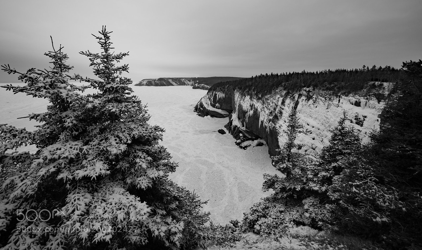 Canon EOS 6D sample photo. Deep winter photography