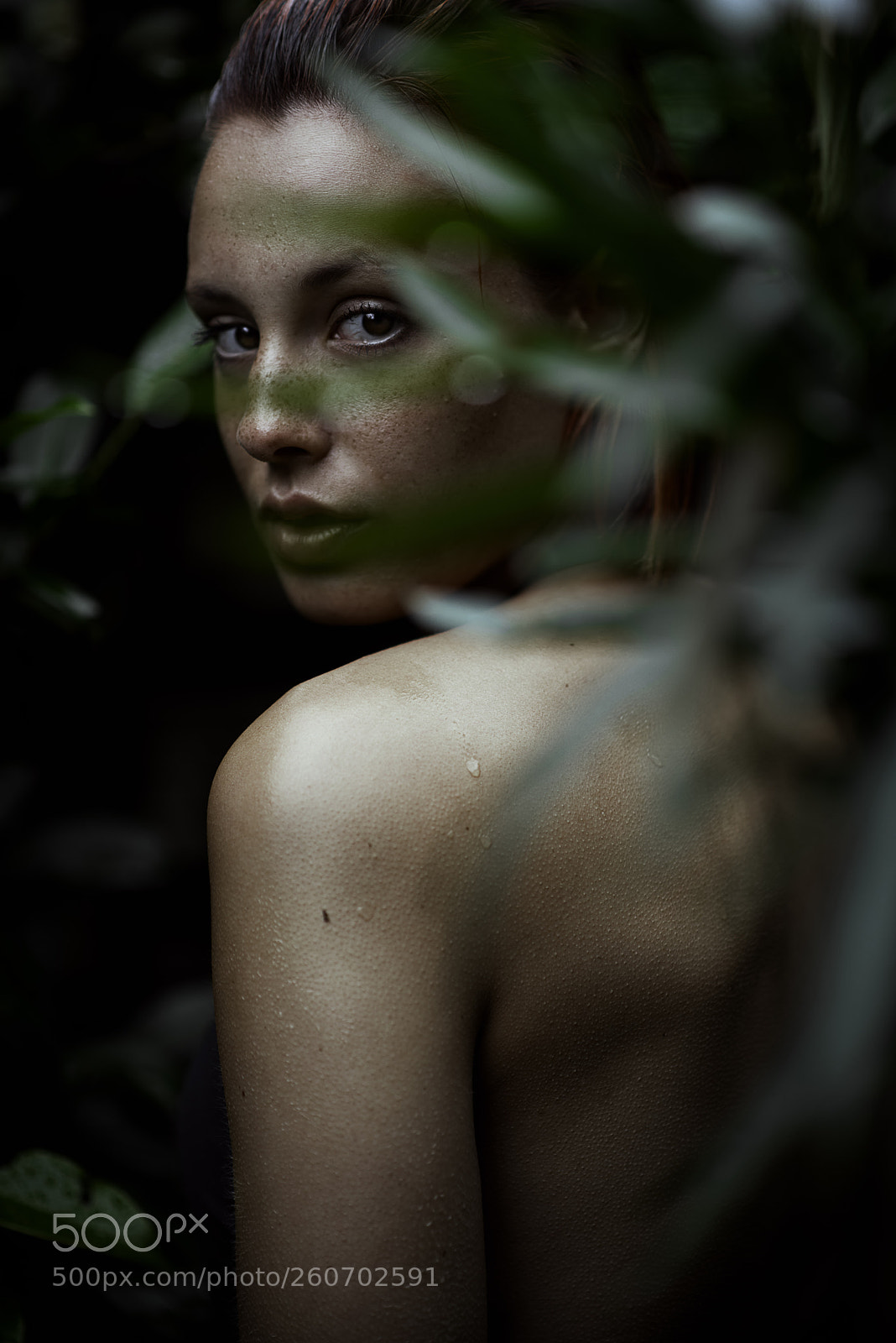 Nikon D810 sample photo. Amazzonia photography