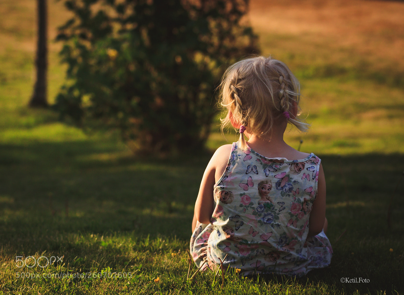 Canon EOS 80D sample photo. Summer evening photography