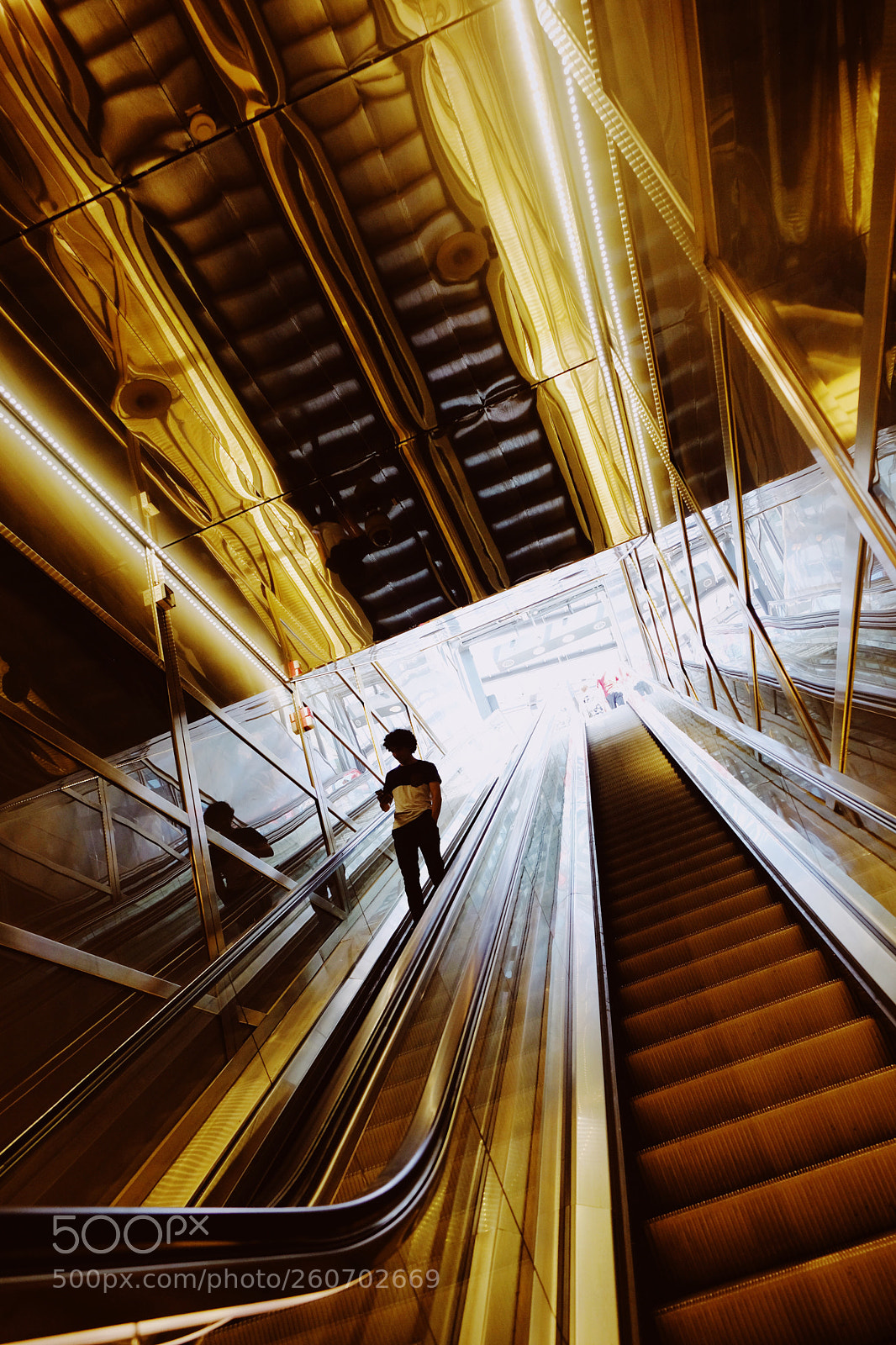 Fujifilm X-T2 sample photo. Golden version photography