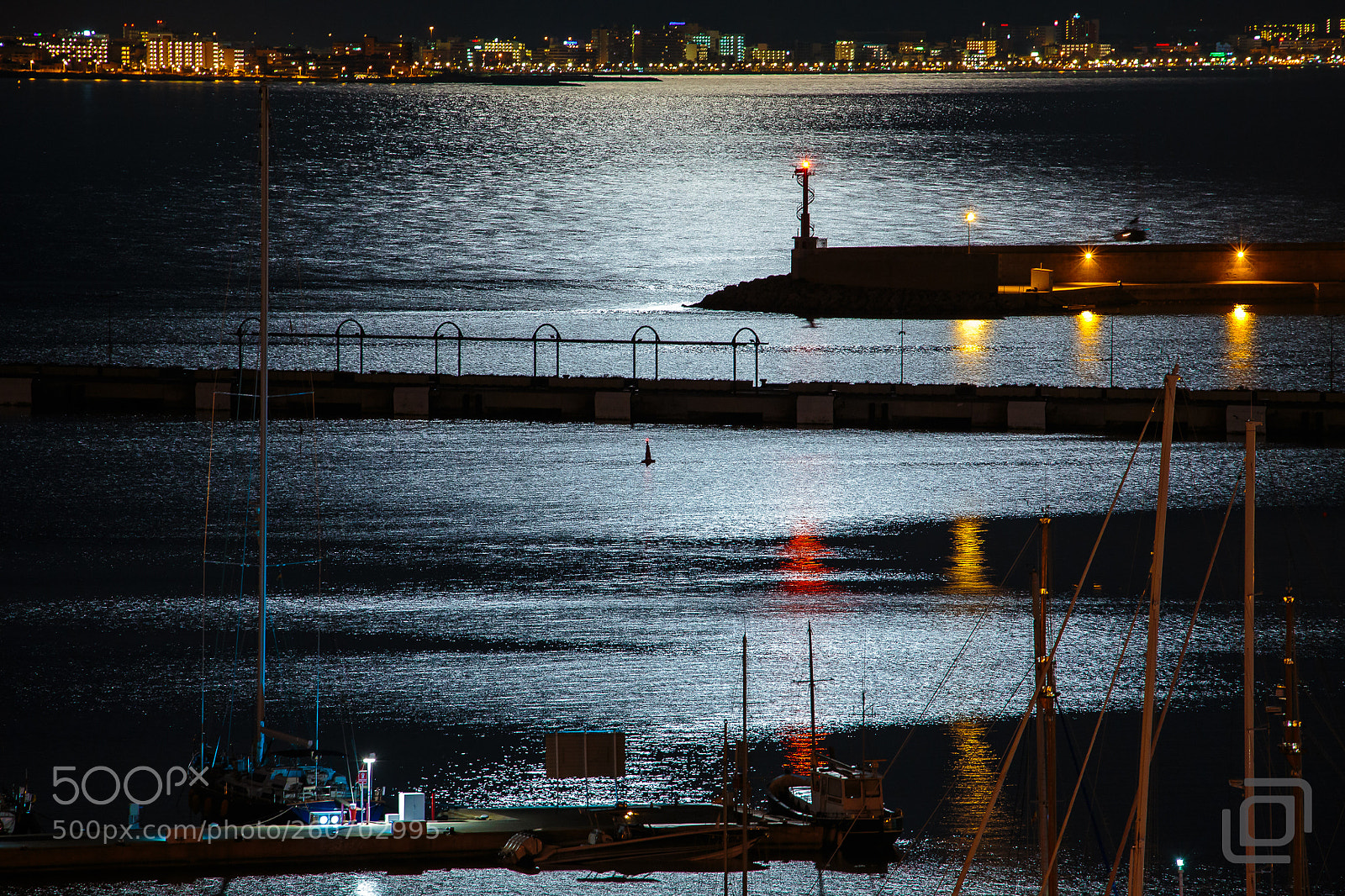 Canon EOS 6D sample photo. Moonlight photography