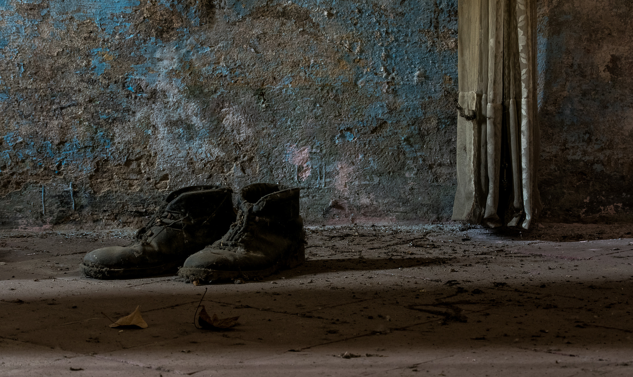 Nikon 1 J5 sample photo. ***** photography
