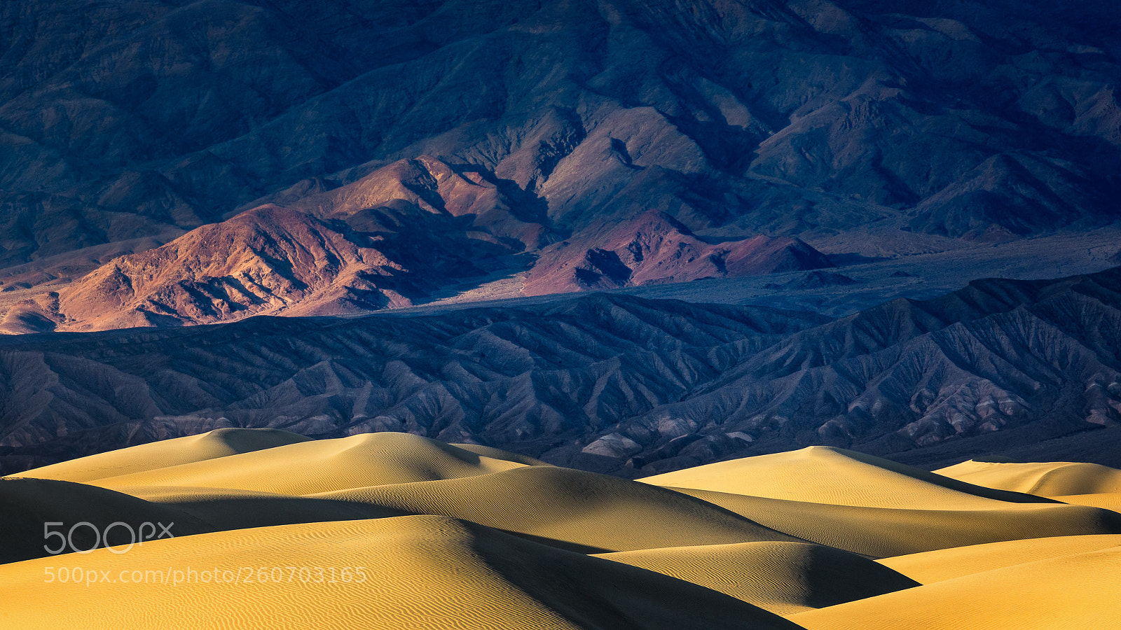 Canon EOS 5D Mark IV sample photo. More dunes photography