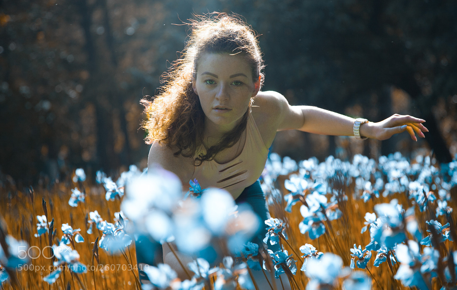 Canon EOS 5D Mark II sample photo. Copy photography