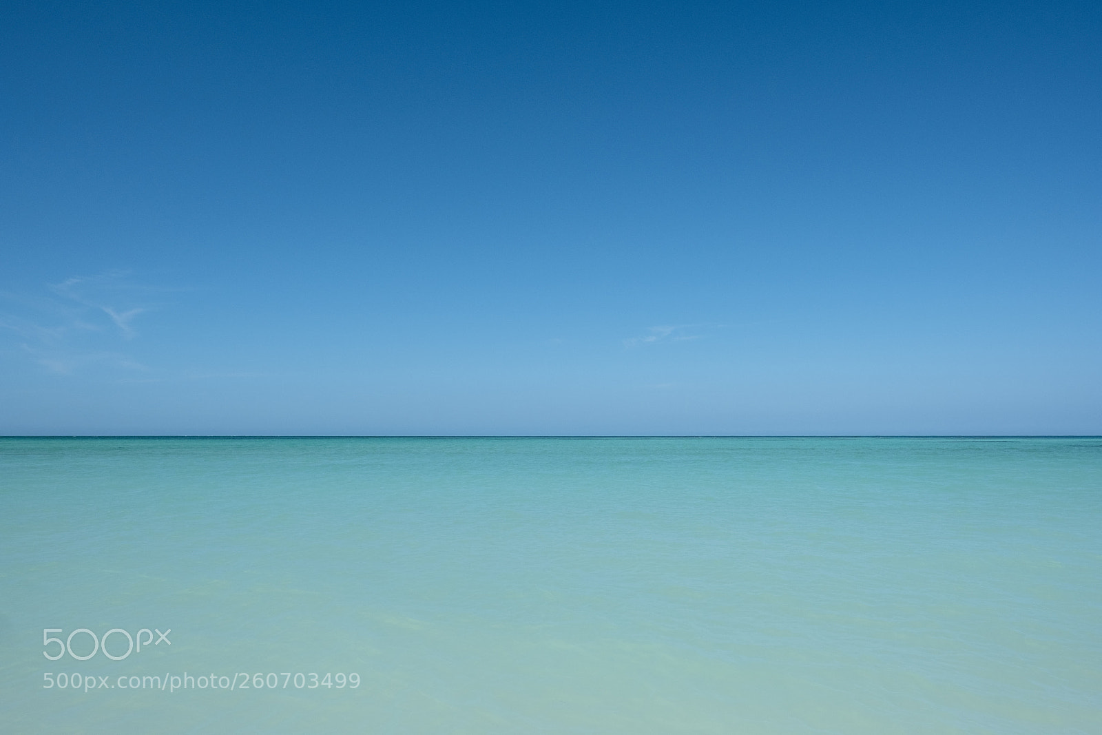 Fujifilm X-Pro2 sample photo. Cayo jutías photography