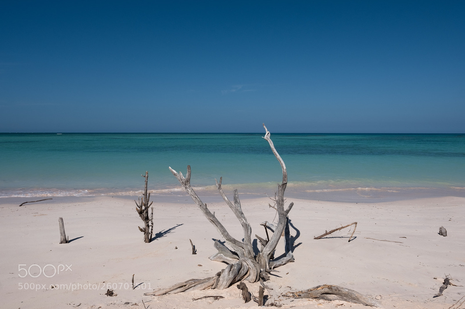 Fujifilm X-Pro2 sample photo. Cayo jutías photography