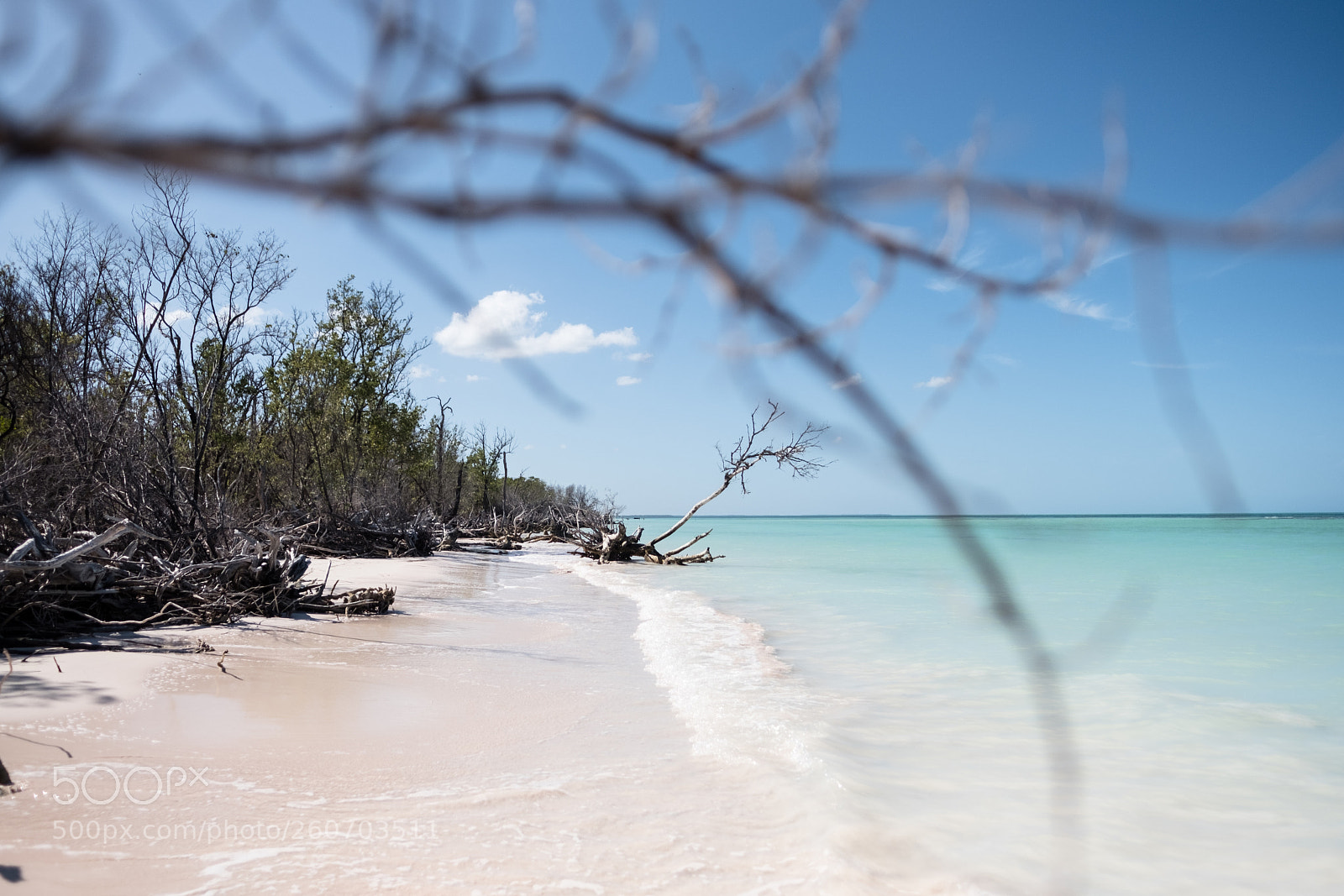 Fujifilm X-Pro2 sample photo. Cayo jutías photography