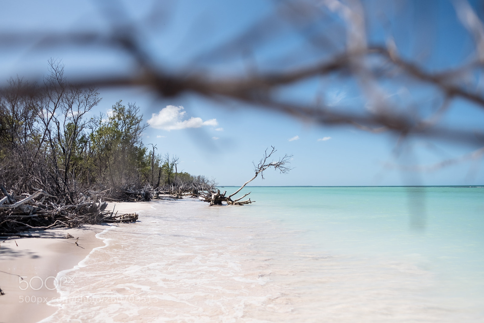 Fujifilm X-Pro2 sample photo. Cayo jutías photography