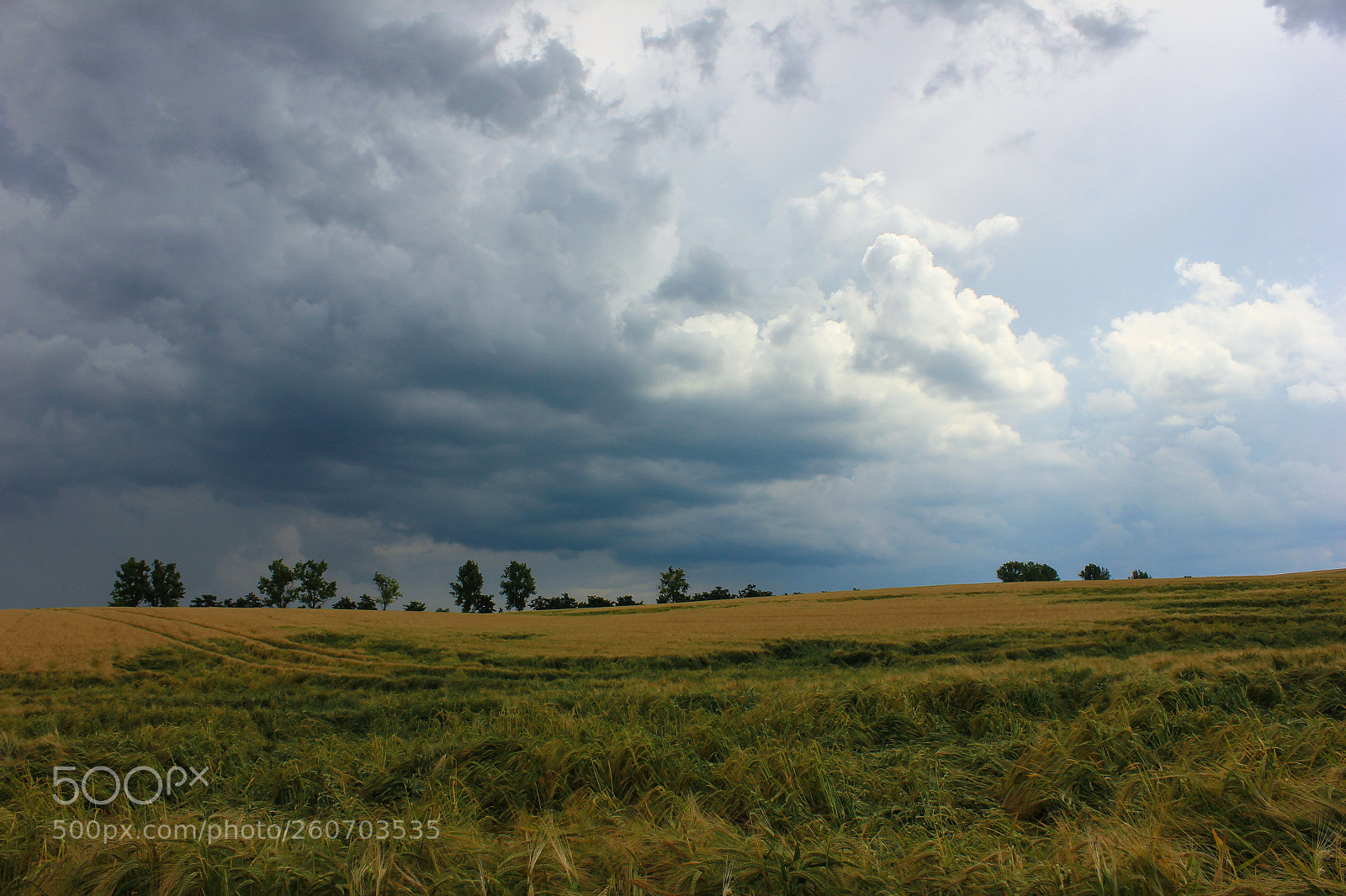 Canon EOS 600D (Rebel EOS T3i / EOS Kiss X5) sample photo. Storm is coming photography