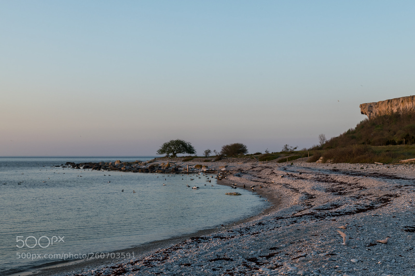 Nikon D850 sample photo. Sunset at the beach photography