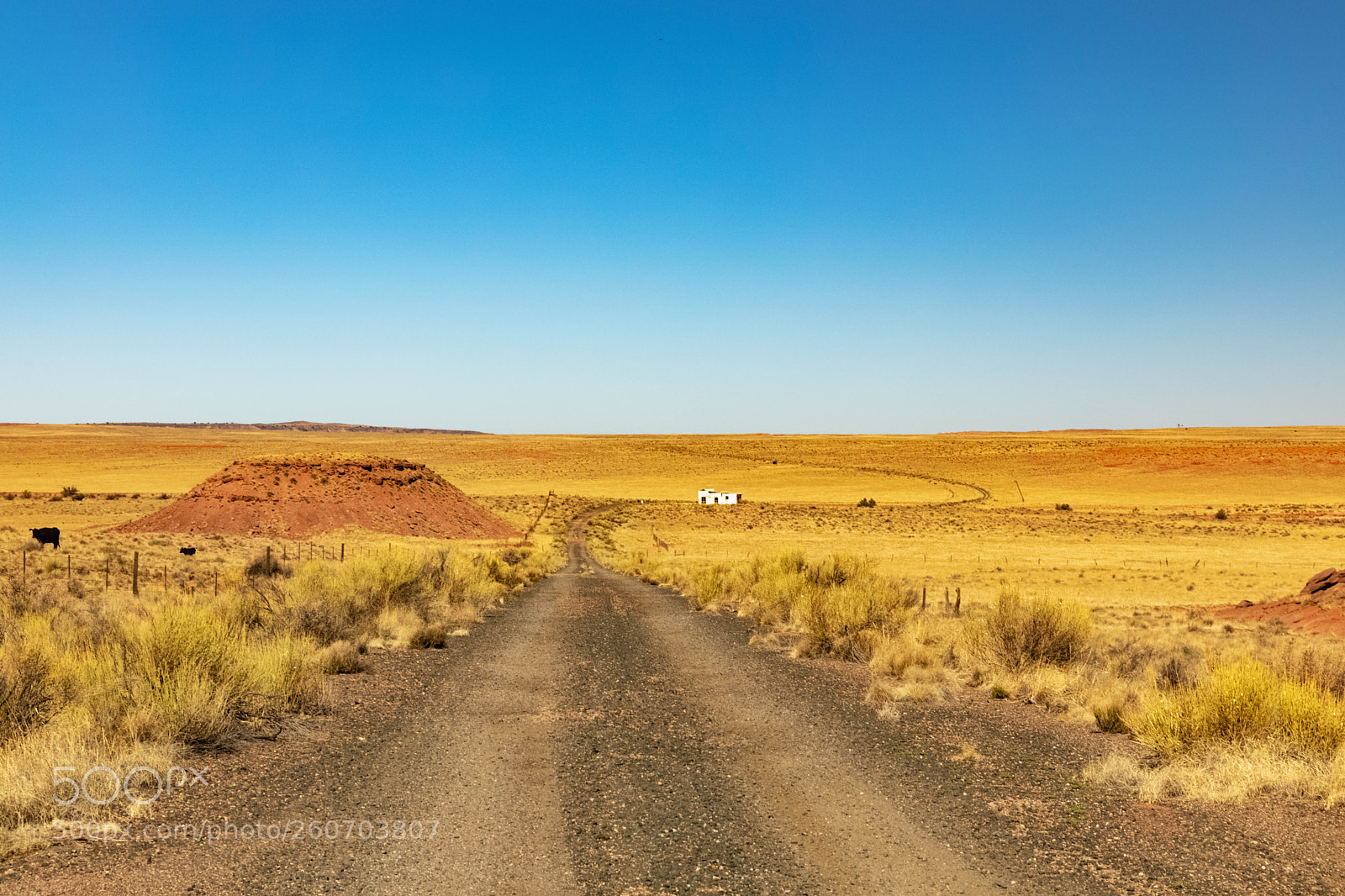 Canon EOS 5D Mark IV sample photo. Another perspective - painted photography