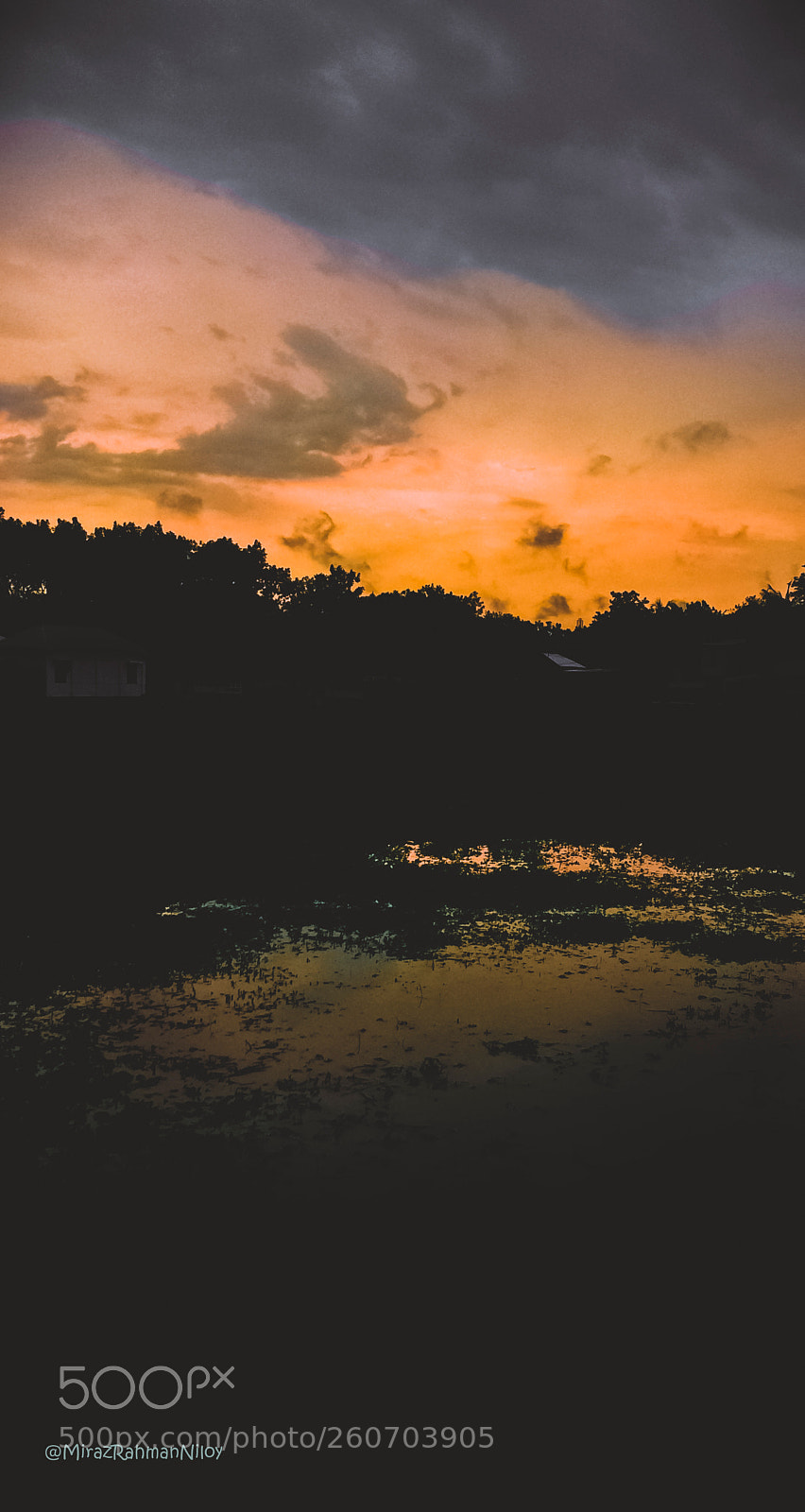 Apple iPhone 5s sample photo. Waterdawn photography