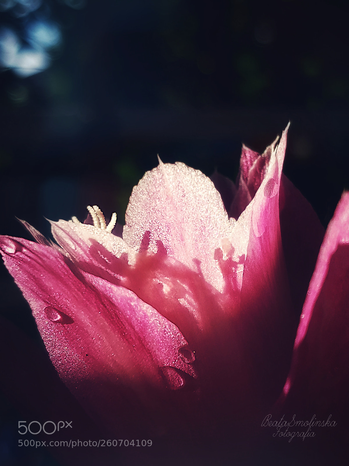 Samsung Galaxy S8 sample photo. Untitled photography