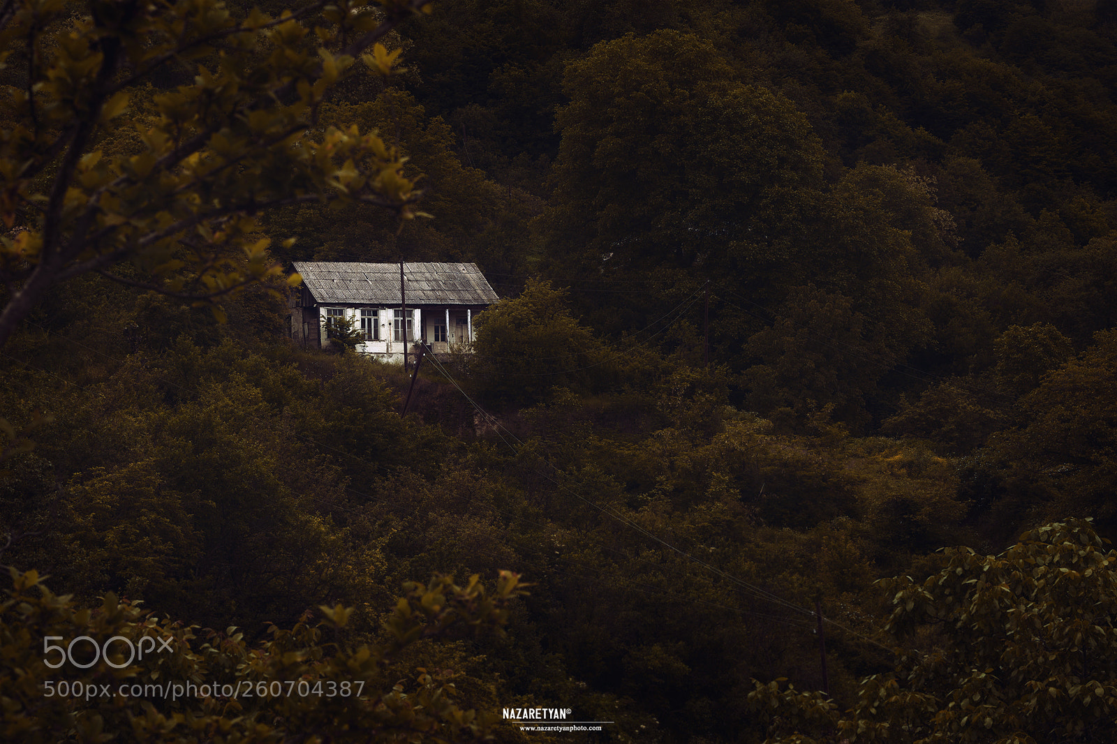 Nikon D750 sample photo. . photography