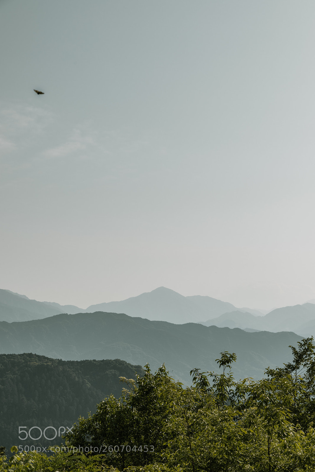 Canon EOS 6D Mark II sample photo. Mount takao photography