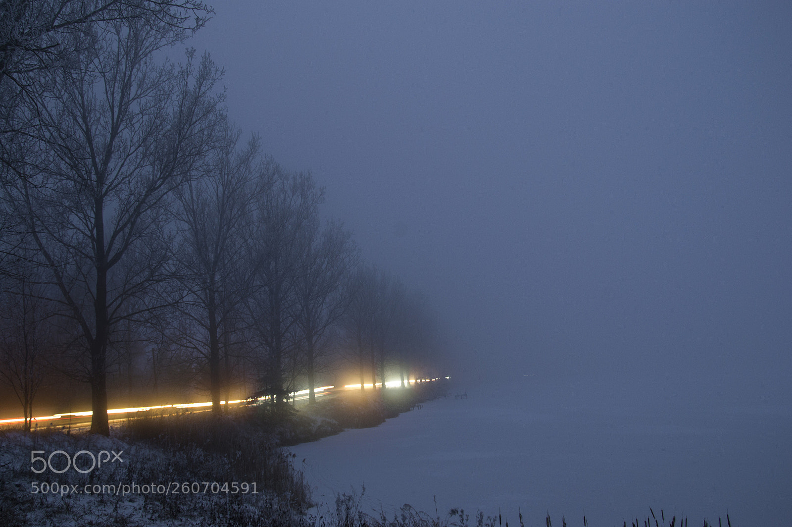 Nikon D3100 sample photo. Lighting in the fog photography