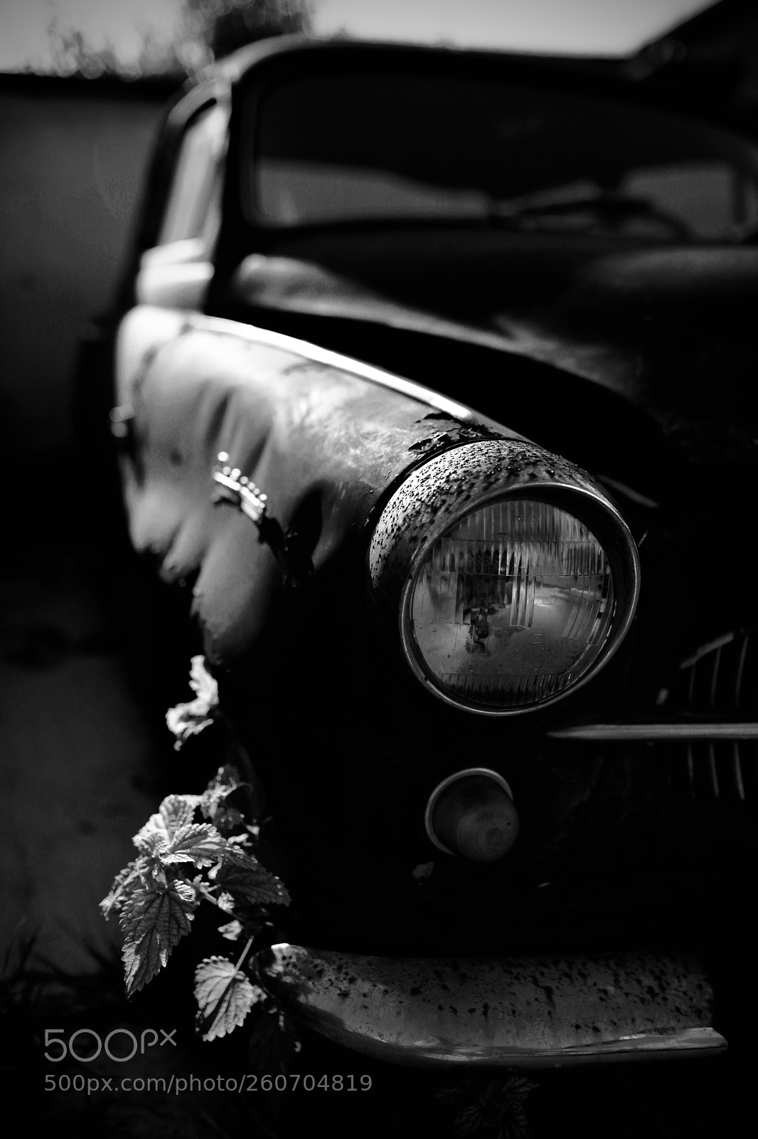 Canon EOS 5D Mark II sample photo. Fullsizeoutput baec photography