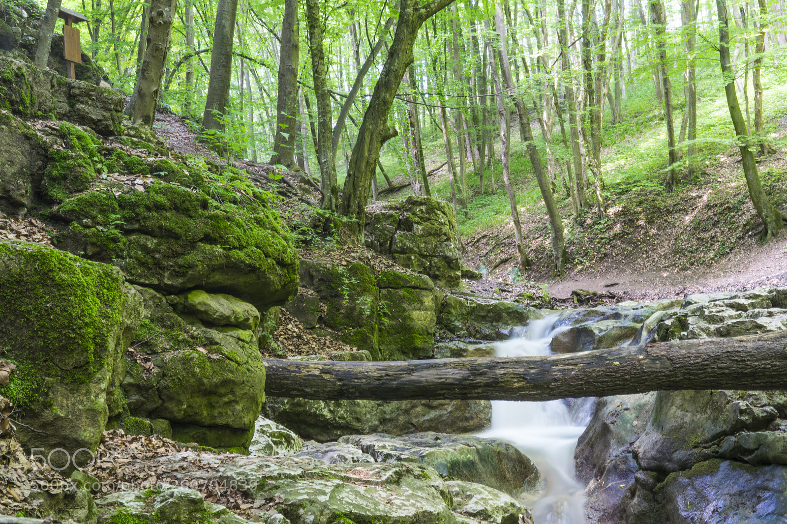 Sony a7 II sample photo. Trip on bakonynána 3 photography