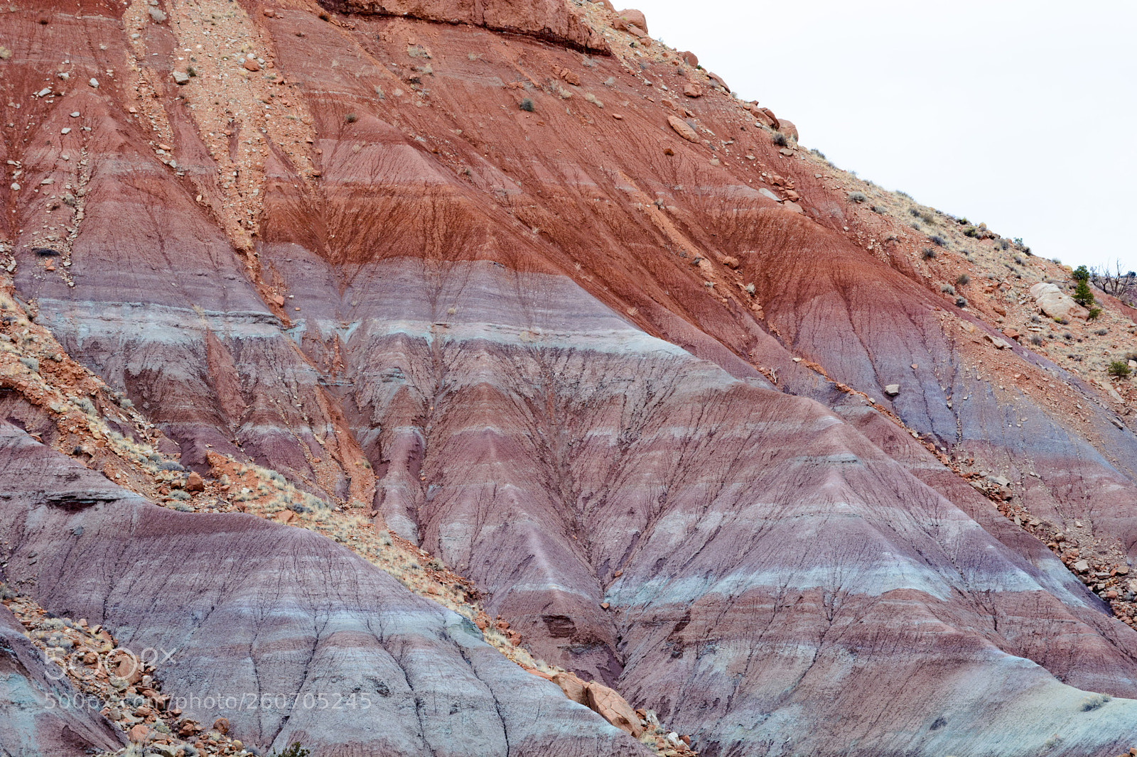 Nikon D5200 sample photo. New mexican red rocks photography