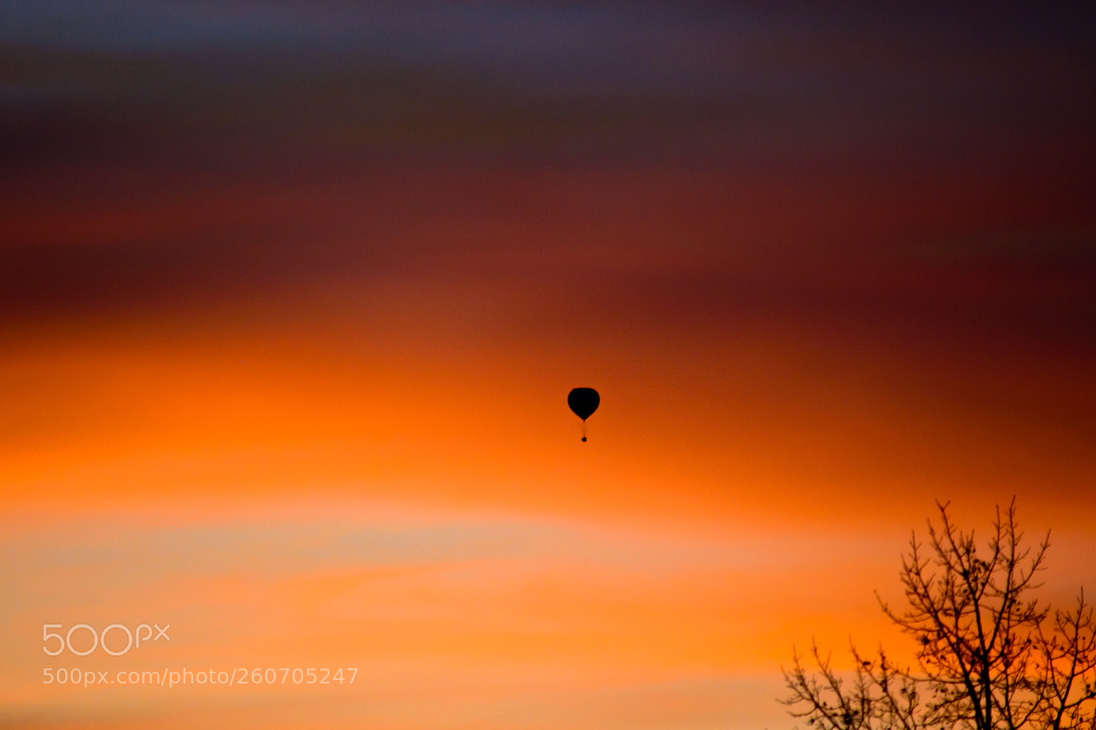 Nikon D5200 sample photo. Flying off into the photography
