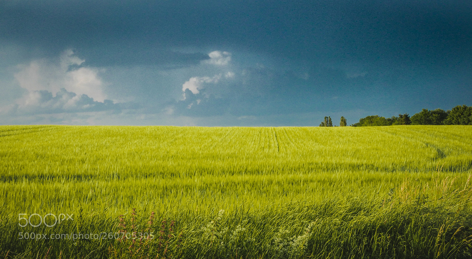 Panasonic Lumix DMC-LX100 sample photo. Before the storm photography