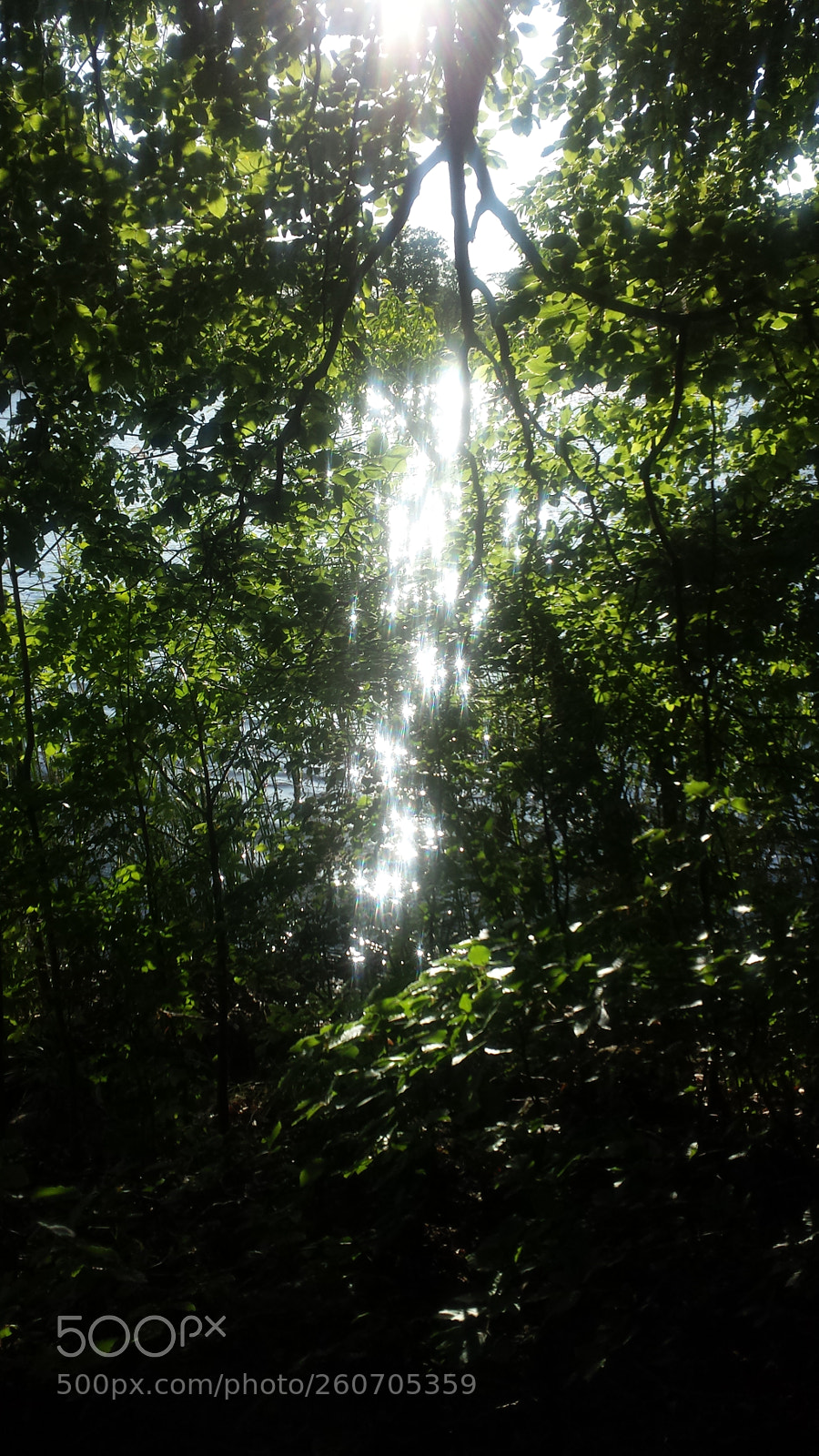Samsung Galaxy S4 sample photo. Light-lake photography
