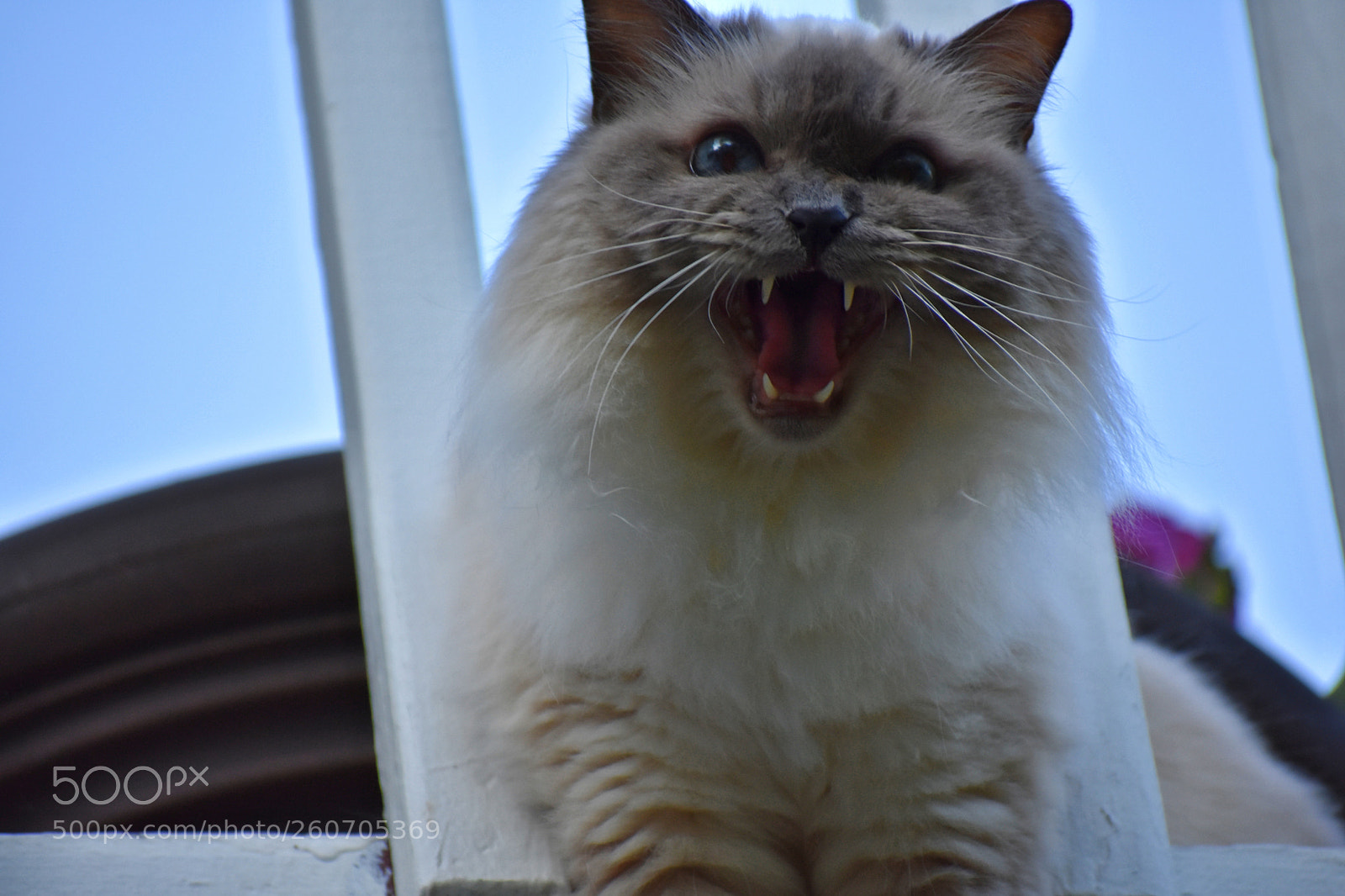 Nikon D3400 sample photo. Dsc photography