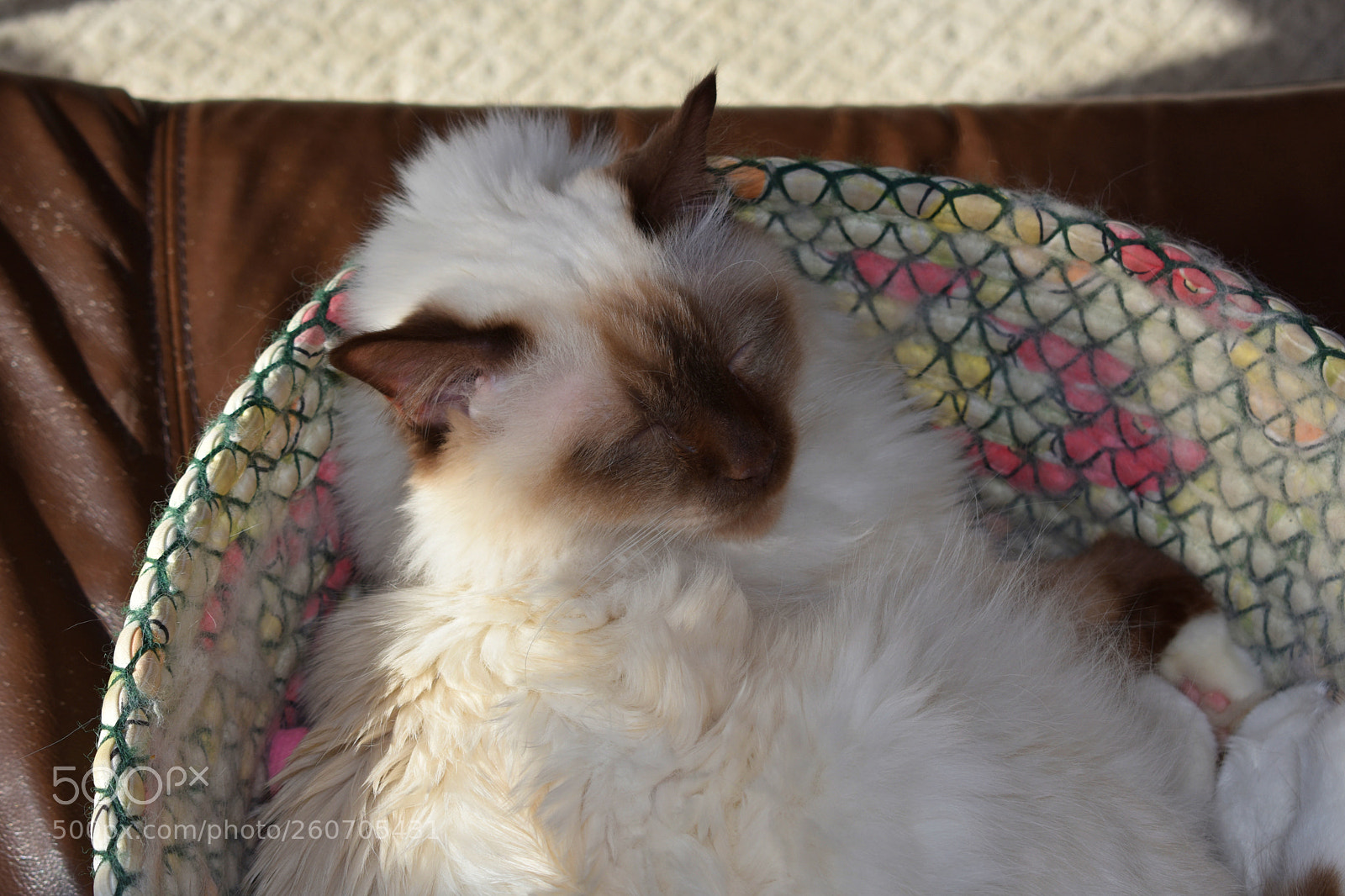 Nikon D3400 sample photo. Dsc photography