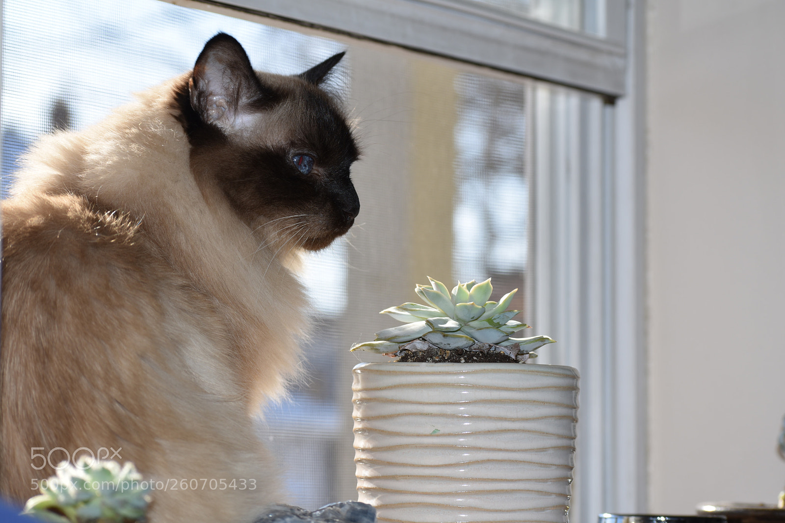 Nikon D3400 sample photo. Dsc photography
