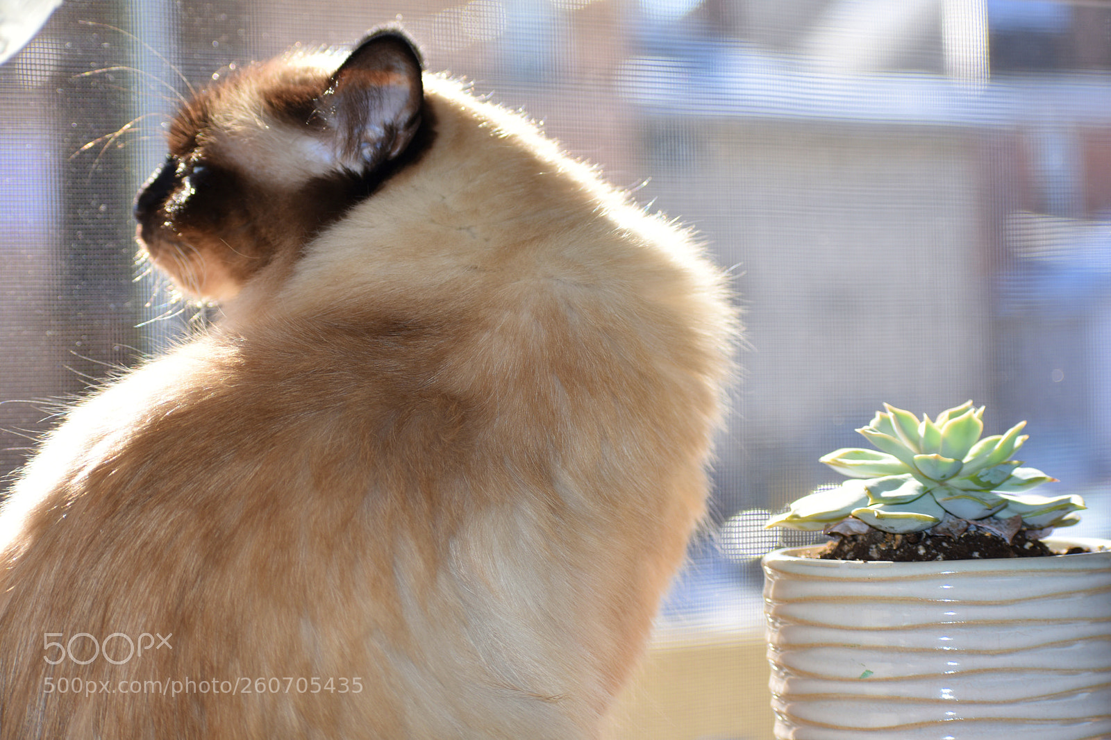 Nikon D3400 sample photo. Dsc photography