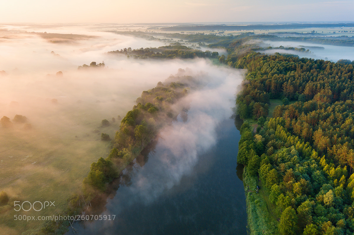 DJI FC220 sample photo. Soaring over the mist 2 photography