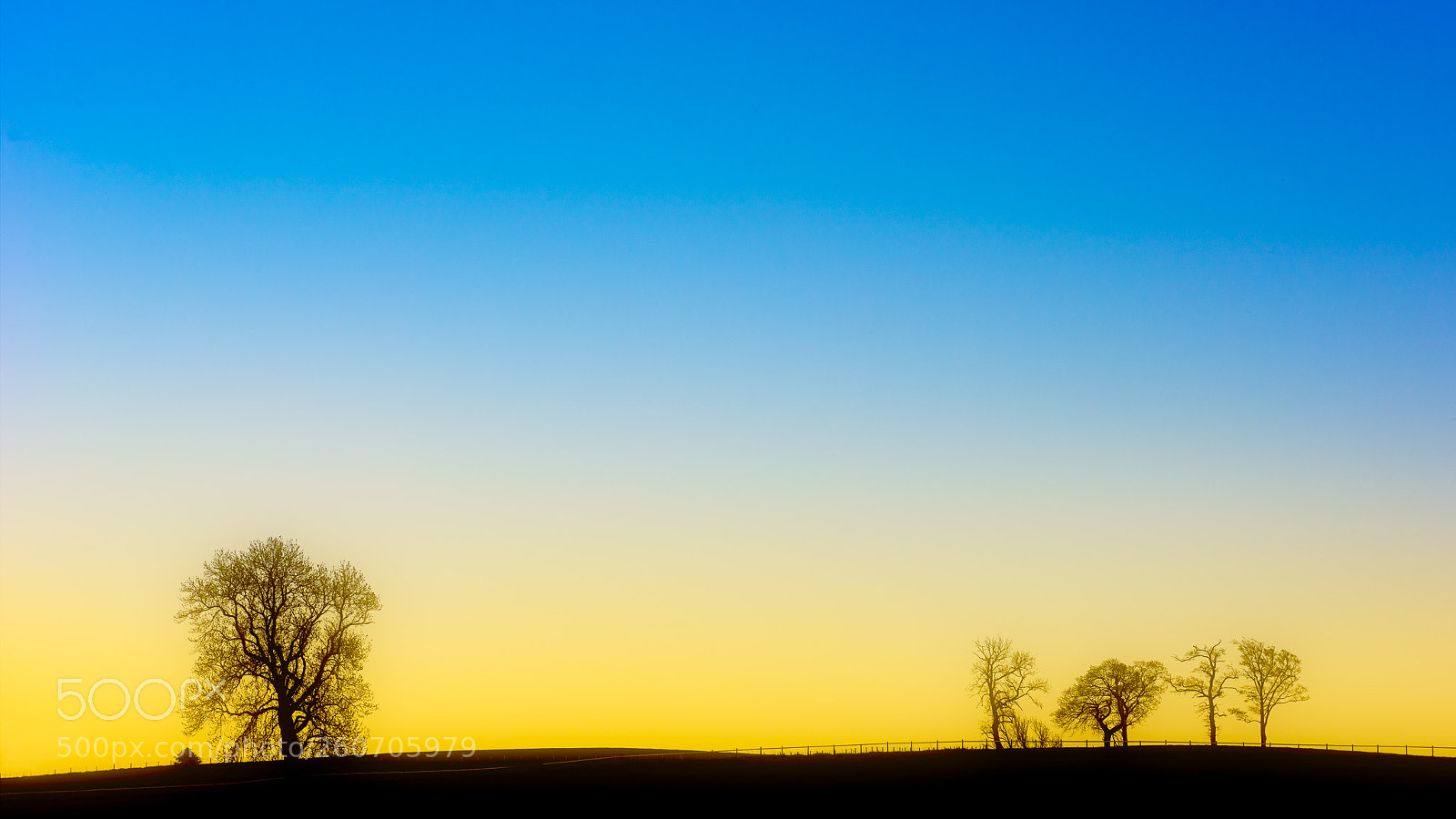 Nikon D810 sample photo. The outsider photography