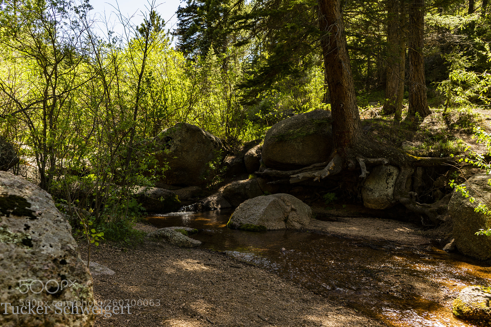 Sony a7 sample photo. Meditation photography