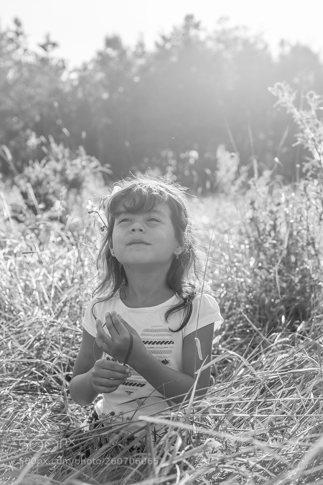 Canon EOS 6D Mark II sample photo. Untitled photography