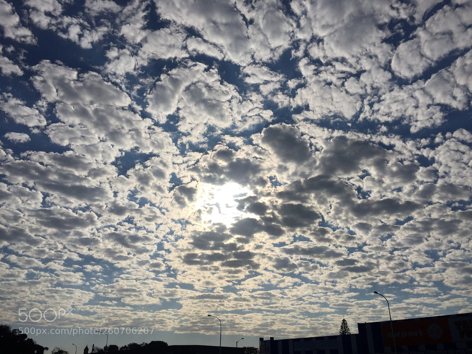 Apple iPhone 6 sample photo. Untitled photography