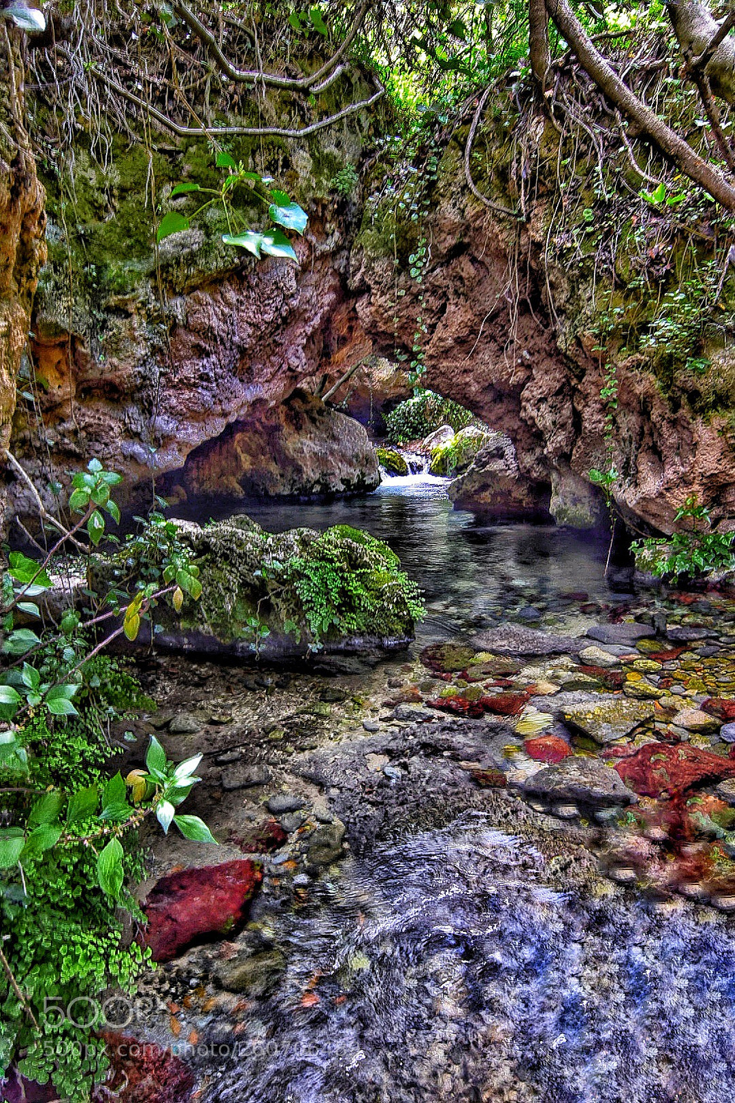 Nikon D5500 sample photo. Paradise photography