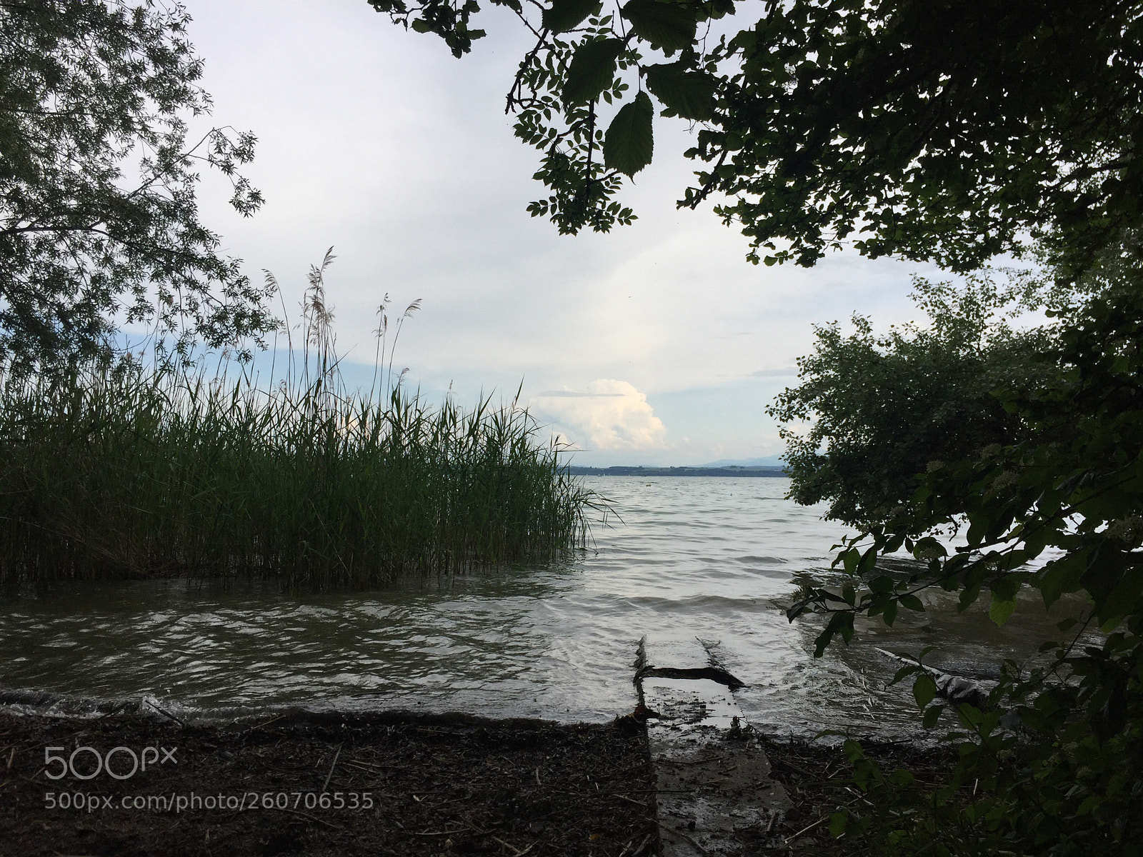 Apple iPhone 6 sample photo. Cortaillod photography