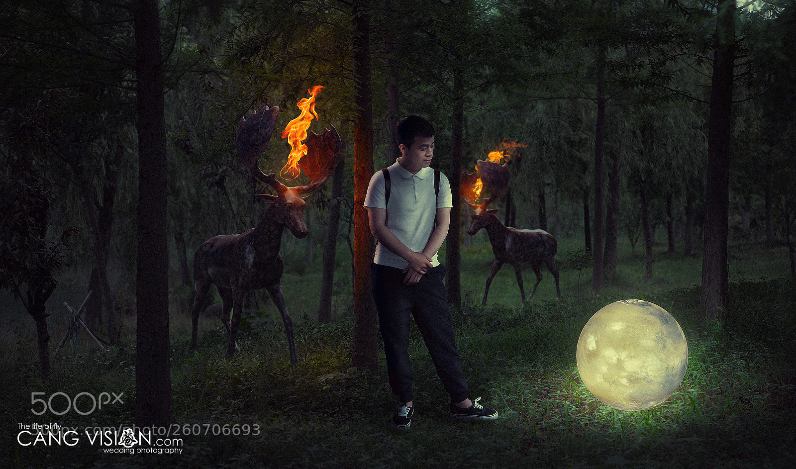 Nikon D800 sample photo. Lost in forest photography