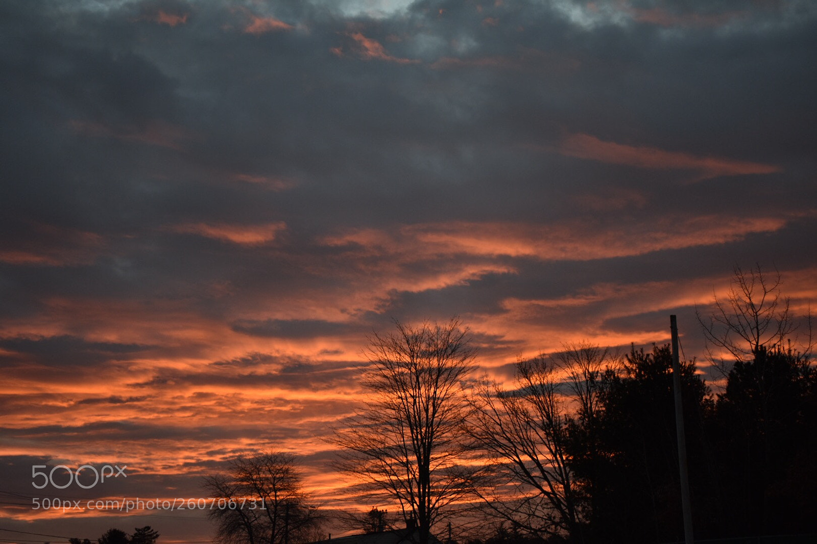 Nikon D3400 sample photo. Untitled photography