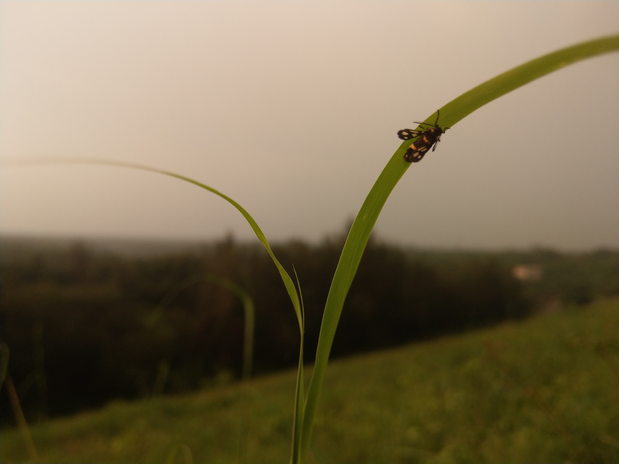 HTC U11 sample photo