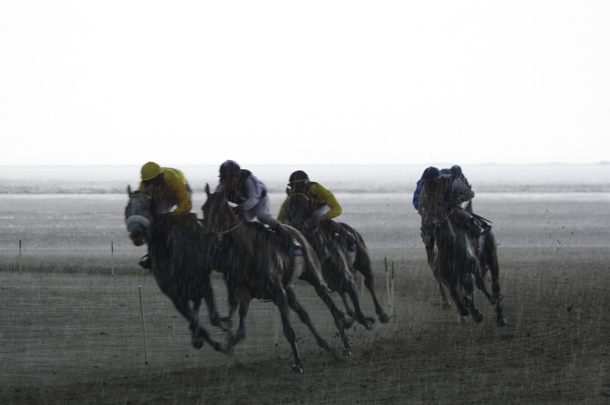 Pentax K-3 II sample photo. Galop sous l'orage photography