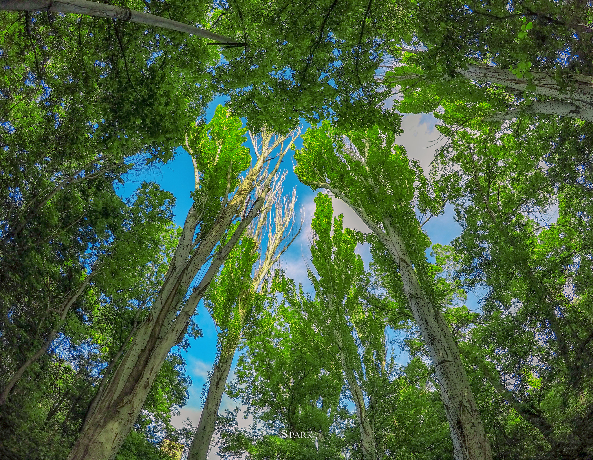 GoPro Hero5 Black sample photo. = ) photography