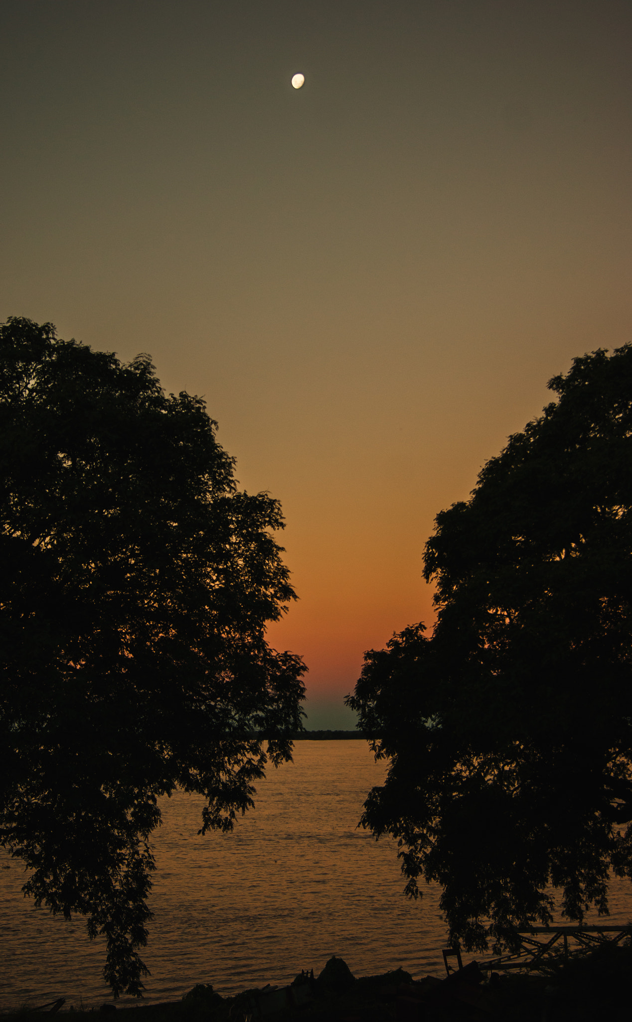 Sony Alpha DSLR-A290 sample photo. Sunset photography