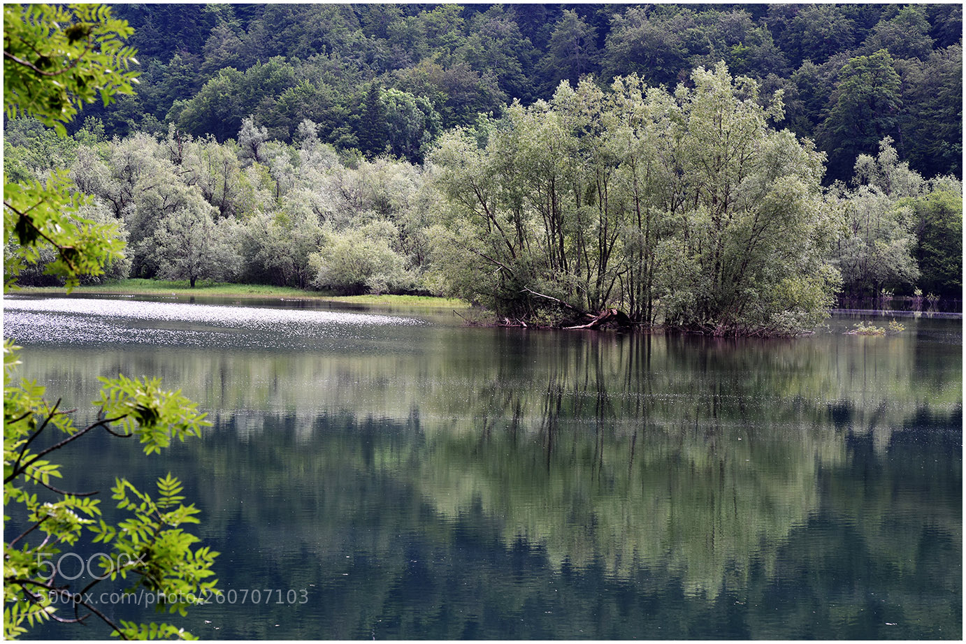 Nikon D810 sample photo. Биоградско photography